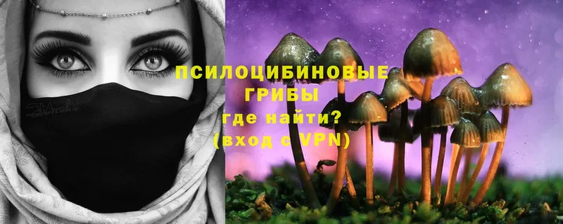 Галлюциногенные грибы Cubensis  где купить наркотик  Буйнакск 